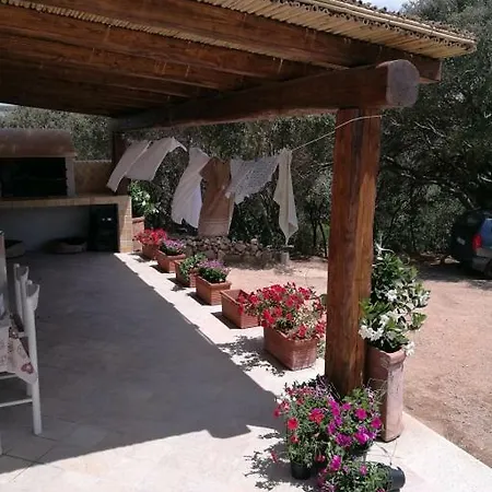 L'albero Magico Nella Campagna Gallurese * Santa Teresa Gallura
