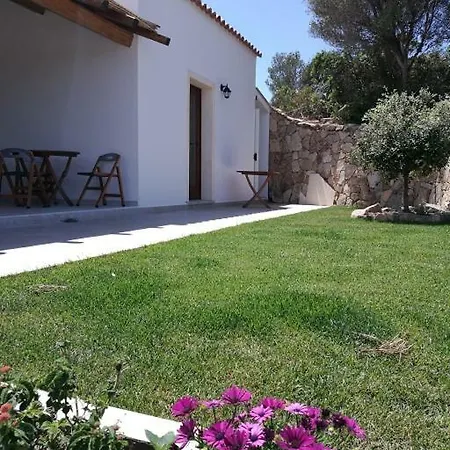 L'albero Magico Nella Campagna Gallurese * Santa Teresa Gallura