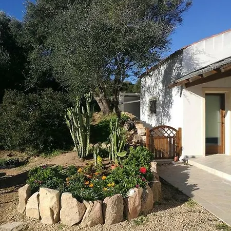 L'albero Magico Nella Campagna Gallurese Apartment Santa Teresa Gallura