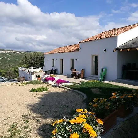Apartment L'albero Magico Nella Campagna Gallurese Santa Teresa Gallura